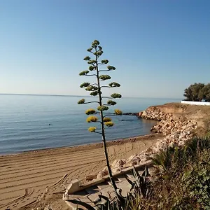Del Mar Avola